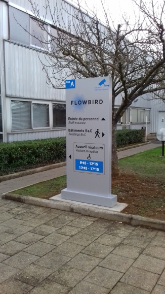 totem flowbird